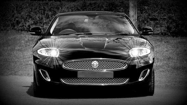 Must-Have-Modeartikel für nachhaltiges Wachstum